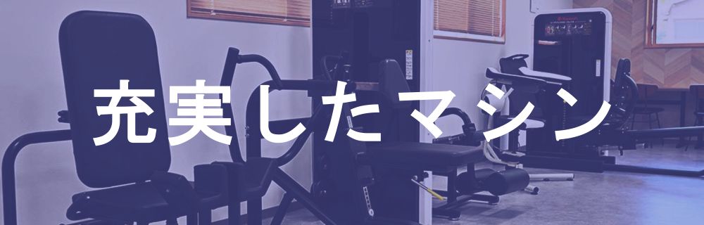 本格的なフィットネス